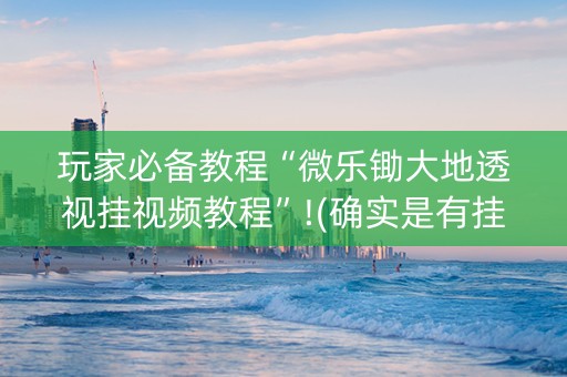 玩家必备教程“微乐锄大地透视挂视频教程”!(确实是有挂)-抖音