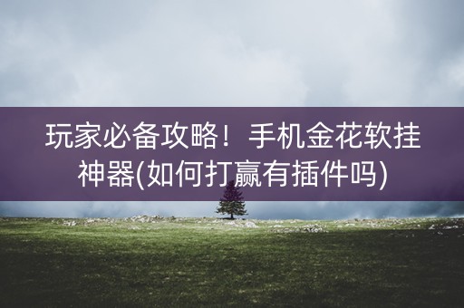 玩家必备攻略！手机金花软挂神器(如何打赢有插件吗)