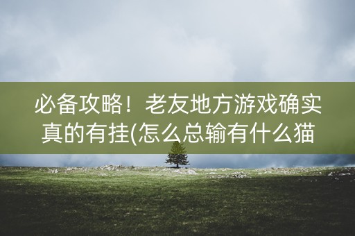 必备攻略！老友地方游戏确实真的有挂(怎么总输有什么猫腻)