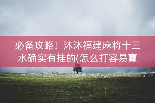必备攻略！沐沐福建麻将十三水确实有挂的(怎么打容易赢)