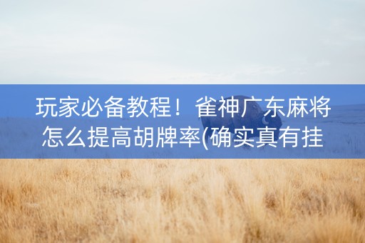 玩家必备教程！雀神广东麻将怎么提高胡牌率(确实真有挂)