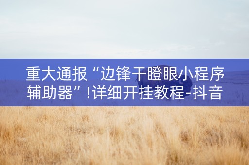 重大通报“边锋干瞪眼小程序辅助器”!详细开挂教程-抖音