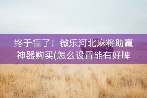 终于懂了！微乐河北麻将助赢神器购买(怎么设置能有好牌)