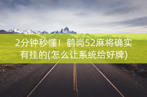 2分钟秒懂！鹤岗52麻将确实有挂的(怎么让系统给好牌)