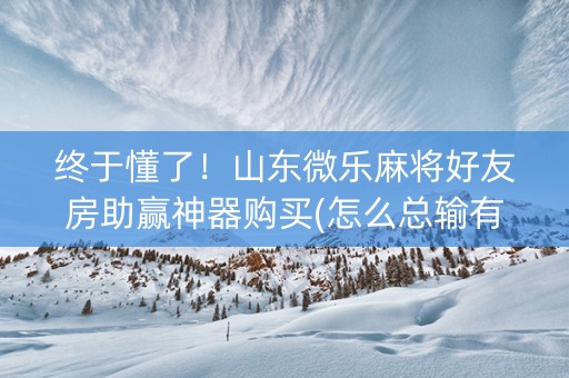 终于懂了！山东微乐麻将好友房助赢神器购买(怎么总输有什么猫腻)