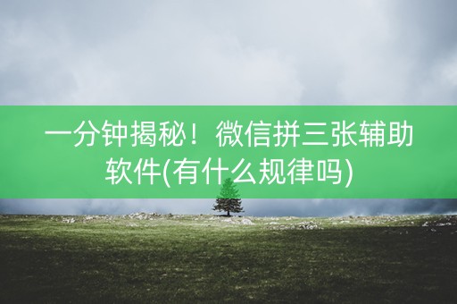 一分钟揭秘！微信拼三张辅助软件(有什么规律吗)