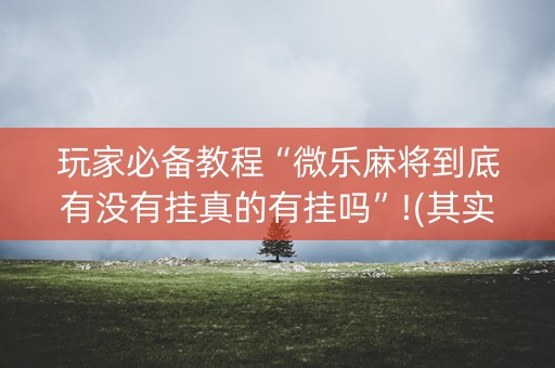 玩家必备教程“微乐麻将到底有没有挂真的有挂吗”!(其实确实有挂)-抖音