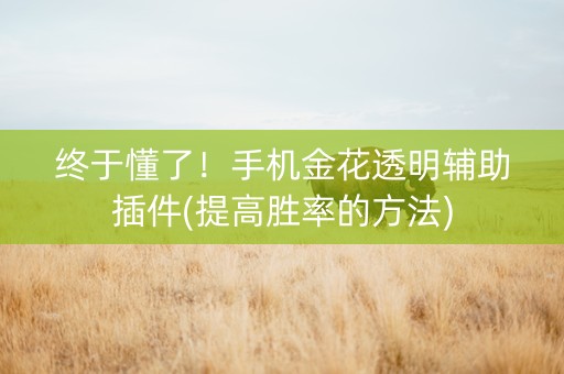 终于懂了！手机金花透明辅助插件(提高胜率的方法)