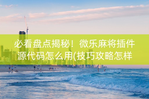 必看盘点揭秘！微乐麻将插件源代码怎么用(技巧攻略怎样拿好牌)