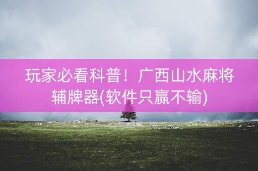 玩家必看科普！广西山水麻将辅牌器(软件只赢不输)