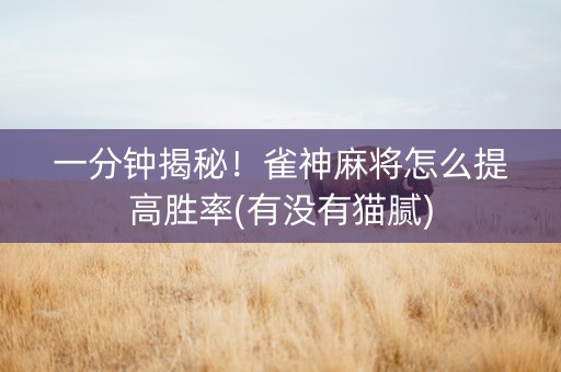 一分钟揭秘！雀神麻将怎么提高胜率(有没有猫腻)