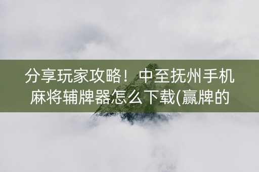 分享玩家攻略！中至抚州手机麻将辅牌器怎么下载(赢牌的技巧)