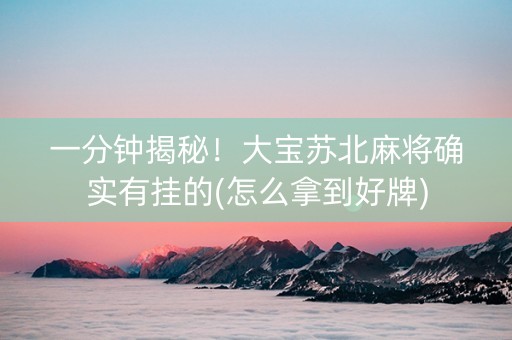 一分钟揭秘！大宝苏北麻将确实有挂的(怎么拿到好牌)