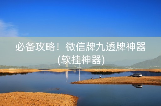 必备攻略！微信牌九透牌神器(软挂神器)