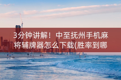 3分钟讲解！中至抚州手机麻将辅牌器怎么下载(胜率到哪调)