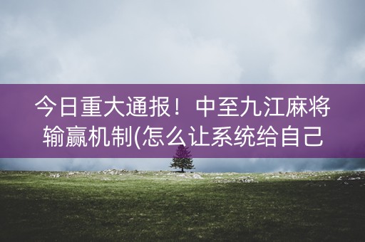 今日重大通报！中至九江麻将输赢机制(怎么让系统给自己好牌)