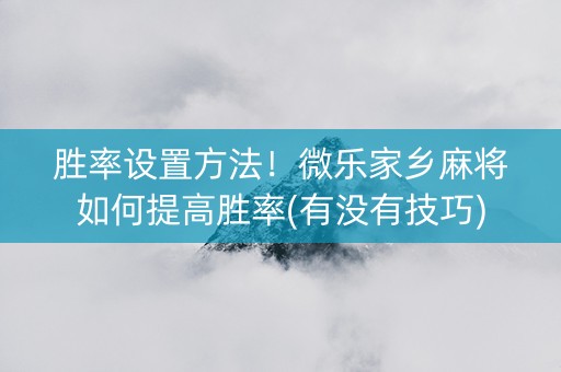 胜率设置方法！微乐家乡麻将如何提高胜率(有没有技巧)