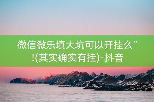 微信微乐填大坑可以开挂么”!(其实确实有挂)-抖音