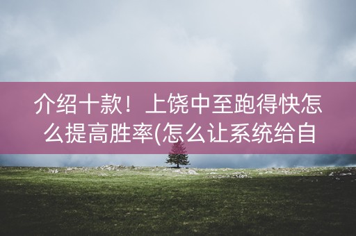 介绍十款！上饶中至跑得快怎么提高胜率(怎么让系统给自己好牌)