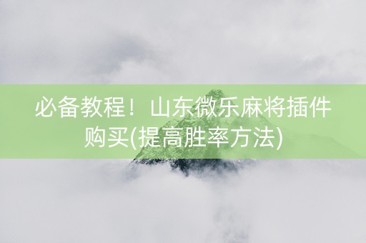 必备教程！山东微乐麻将插件购买(提高胜率方法)
