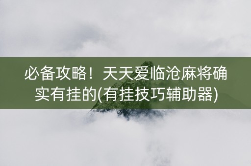 必备攻略！天天爱临沧麻将确实有挂的(有挂技巧辅助器)