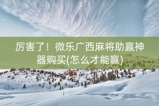 厉害了！微乐广西麻将助赢神器购买(怎么才能赢)