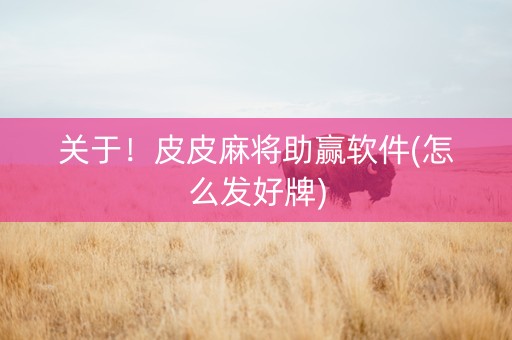 关于！皮皮麻将助赢软件(怎么发好牌)