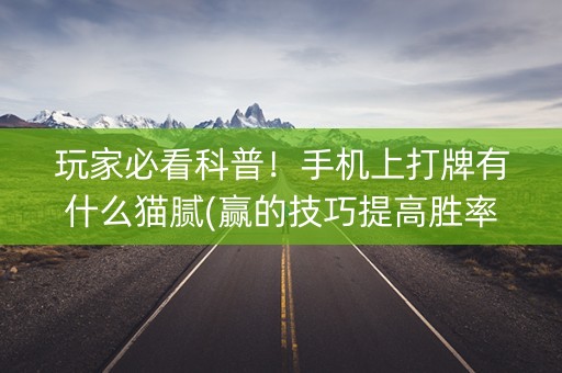 玩家必看科普！手机上打牌有什么猫腻(赢的技巧提高胜率)