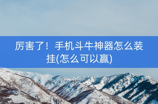 厉害了！手机斗牛神器怎么装挂(怎么可以赢)