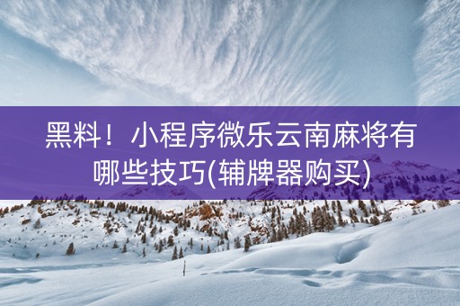 黑料！小程序微乐云南麻将有哪些技巧(辅牌器购买)