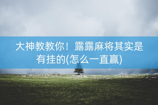 大神教教你！露露麻将其实是有挂的(怎么一直赢)