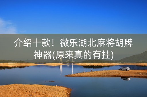 介绍十款！微乐湖北麻将胡牌神器(原来真的有挂)