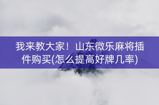 我来教大家！山东微乐麻将插件购买(怎么提高好牌几率)