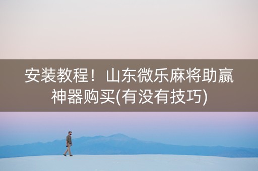 安装教程！山东微乐麻将助赢神器购买(有没有技巧)