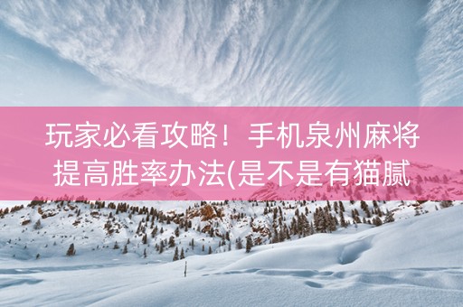 玩家必看攻略！手机泉州麻将提高胜率办法(是不是有猫腻)
