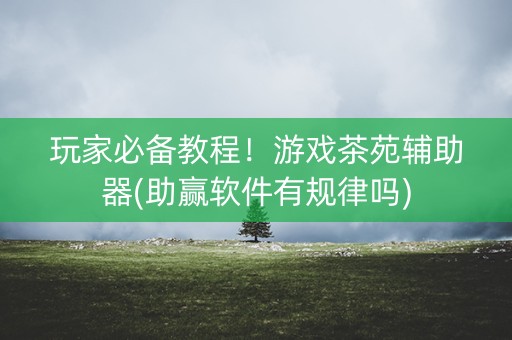 玩家必备教程！游戏茶苑辅助器(助赢软件有规律吗)