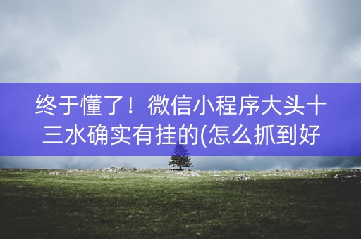 终于懂了！微信小程序大头十三水确实有挂的(怎么抓到好牌)