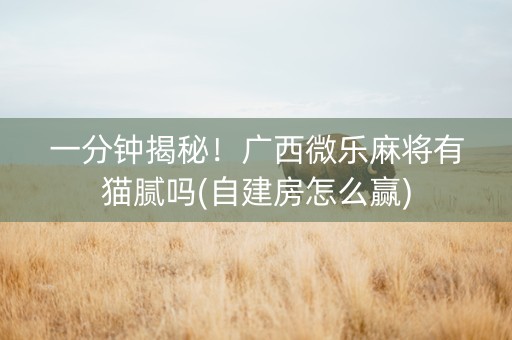 一分钟揭秘！广西微乐麻将有猫腻吗(自建房怎么赢)