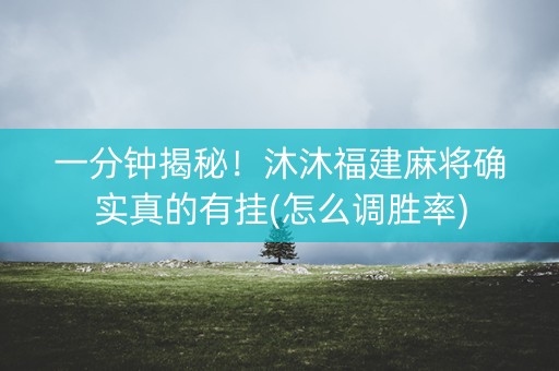 一分钟揭秘！沐沐福建麻将确实真的有挂(怎么调胜率)