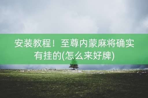 安装教程！至尊内蒙麻将确实有挂的(怎么来好牌)