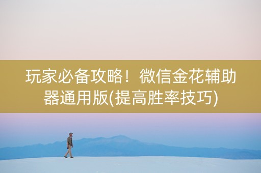 玩家必备攻略！微信金花辅助器通用版(提高胜率技巧)