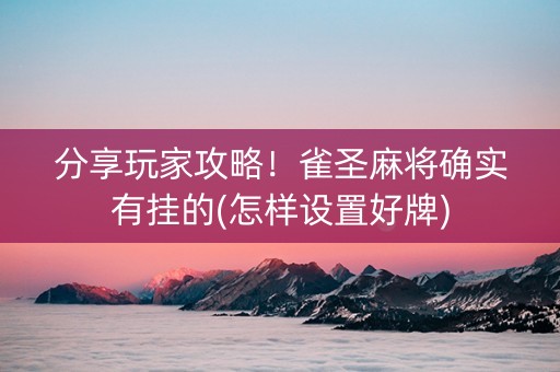 分享玩家攻略！雀圣麻将确实有挂的(怎样设置好牌)