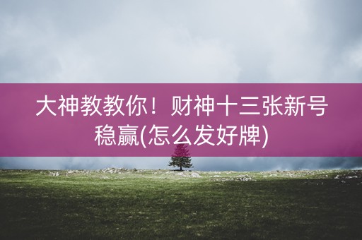 大神教教你！财神十三张新号稳赢(怎么发好牌)