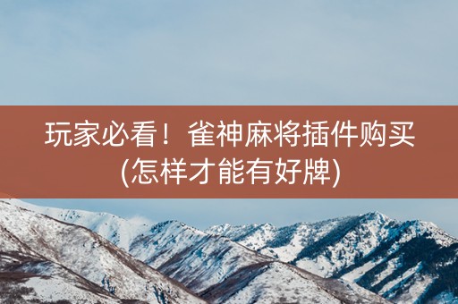 玩家必看！雀神麻将插件购买(怎样才能有好牌)