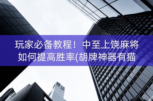 玩家必备教程！中至上饶麻将如何提高胜率(胡牌神器有猫腻吗)