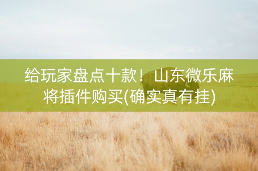 给玩家盘点十款！山东微乐麻将插件购买(确实真有挂)