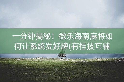 一分钟揭秘！微乐海南麻将如何让系统发好牌(有挂技巧辅助器)