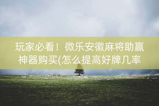 玩家必看！微乐安徽麻将助赢神器购买(怎么提高好牌几率)