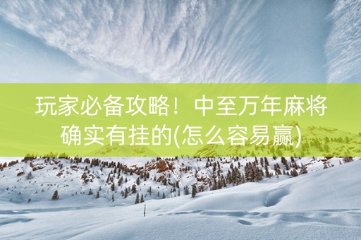 玩家必备攻略！中至万年麻将确实有挂的(怎么容易赢)