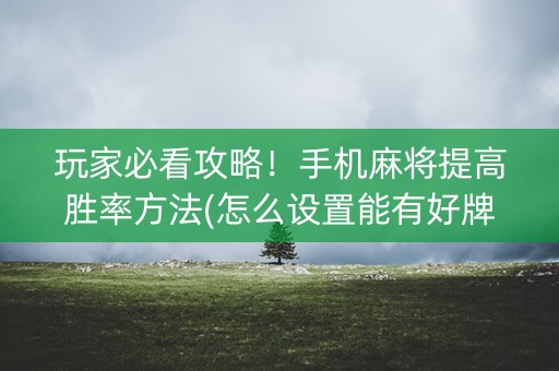 玩家必看攻略！手机麻将提高胜率方法(怎么设置能有好牌)
